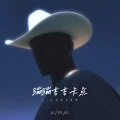 蹦蹦吉吉卡点 (DJ土耳其串烧版)