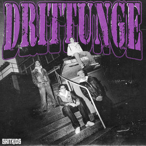 DRITTUNGE (Hjemmesnekk)