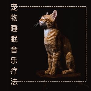 让宠物安静下来的舒缓音乐