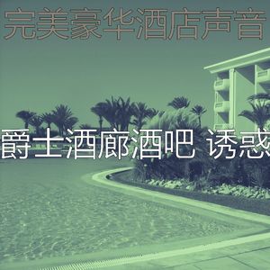 抚慰的酒吧酒店回忆