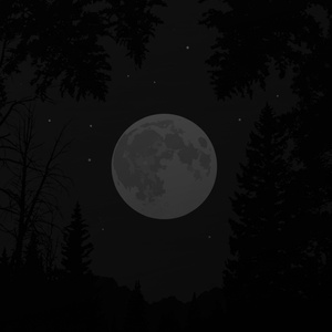 Midnight
