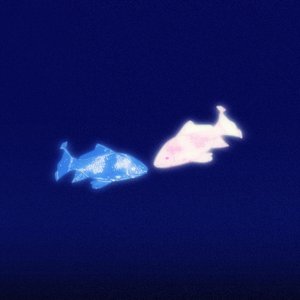 颜色