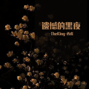 遗憾的黑夜（Prod by ZS Beatz）