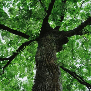 三国恋 (高音释放版)