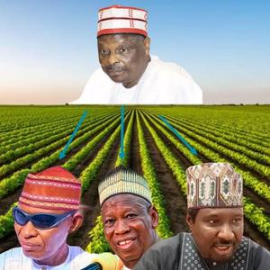 Kwankwaso Mai Noma (Radio Edit)