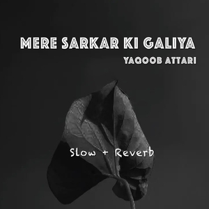 Mere Sarkar Ki Galiya
