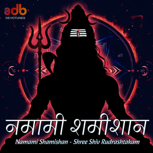 Namami Shamishan