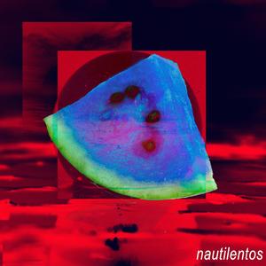 A very very long sandía metida en una bolsa