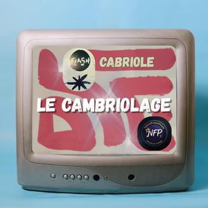 LE CAMBRIOLAGE