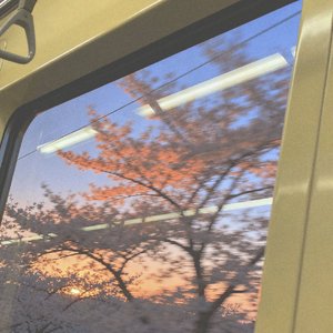 overactive imagination.（幻想过度.）