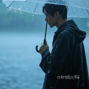 你来时携风带雨