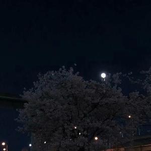 Vicetone-nevada（bootleg）（苦ferry remix）