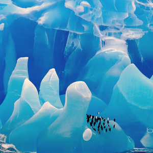 a huddle of outbuildings