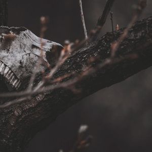 dying：？/`“*555