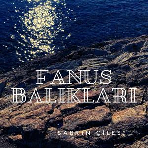 Aklımdasın Sevgilim