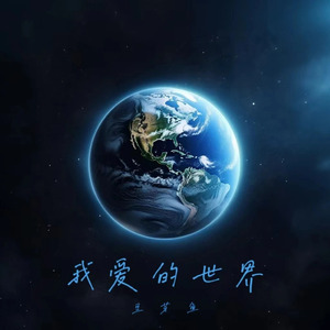 我爱的世界（DJ弹鼓版）