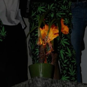 F LES RACISTES EN 1'30