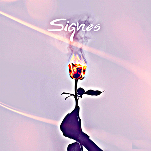 Signes