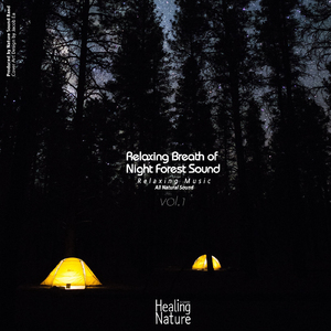 마음을 편안하게 이끌어주는 밤의 소리