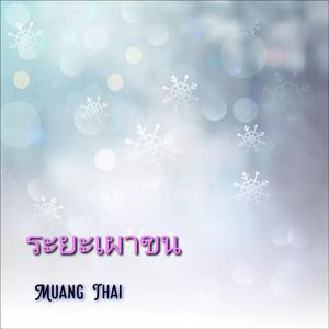 ระยะเผาขน