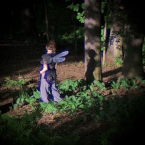 караванная