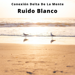 Conservación De Ondas