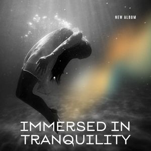 Zen Reflections Below