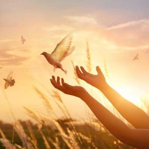 寻见（翻自 michelle）