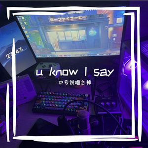 因那些重混版(u know I say)(Prod.by Morrow x ayoley)