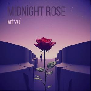 Midnight Rose