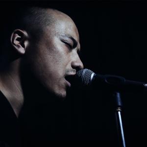 虎口脱险（cover）（Cover 老狼）