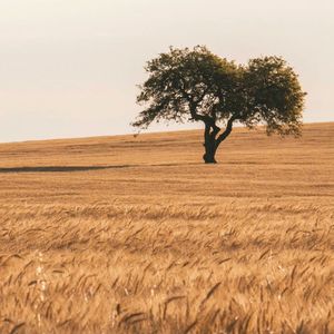 Freestyle Beat - SHADOW Free Type Beat