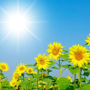 愿世间的一切美好都与你有关