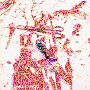 we'll be right back, experiencing emotional difficulties (feat. Shyfox)