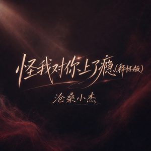 怪我对你上了瘾(释怀版)
