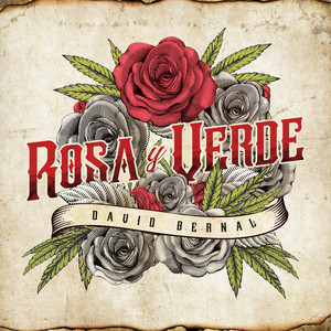 Rosa y Verde