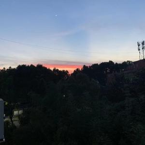 溯（抖音热播版）