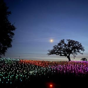 Everything (feat. skyllar)