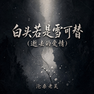 白头若是雪可替(逝去的爱情)
