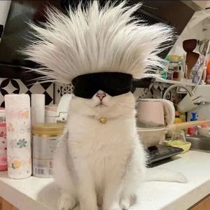 来得更-整曲 伴奏