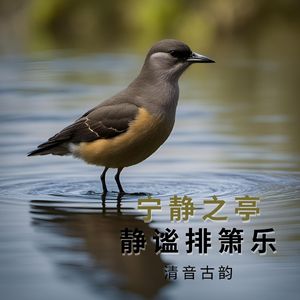 交织的幽谷 (自愈排箫)