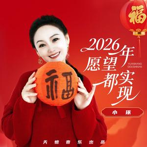2026年愿望都实现