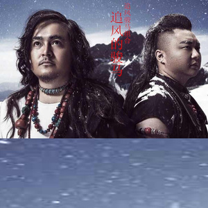 追风的骏马 (发行版)