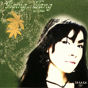 เหนือคำอธิบาย