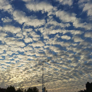 另一座城市的来信