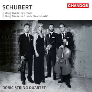 String Quartet No. 15 in G Major, D. 887: II. Andante un poco mosso