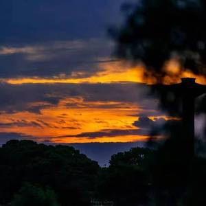 梵高先生_是怡北啊_155706_track0_155706