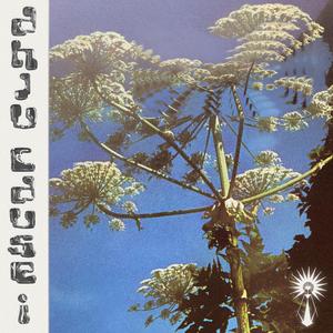 Cause I (Original Mix)