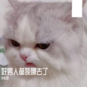 好男人都死哪去了