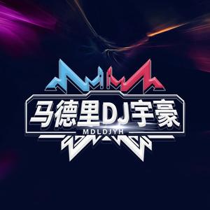 马德里DJ宇豪-中英文Electro马德里浩子专属定制LoveStory慢嗨串烧